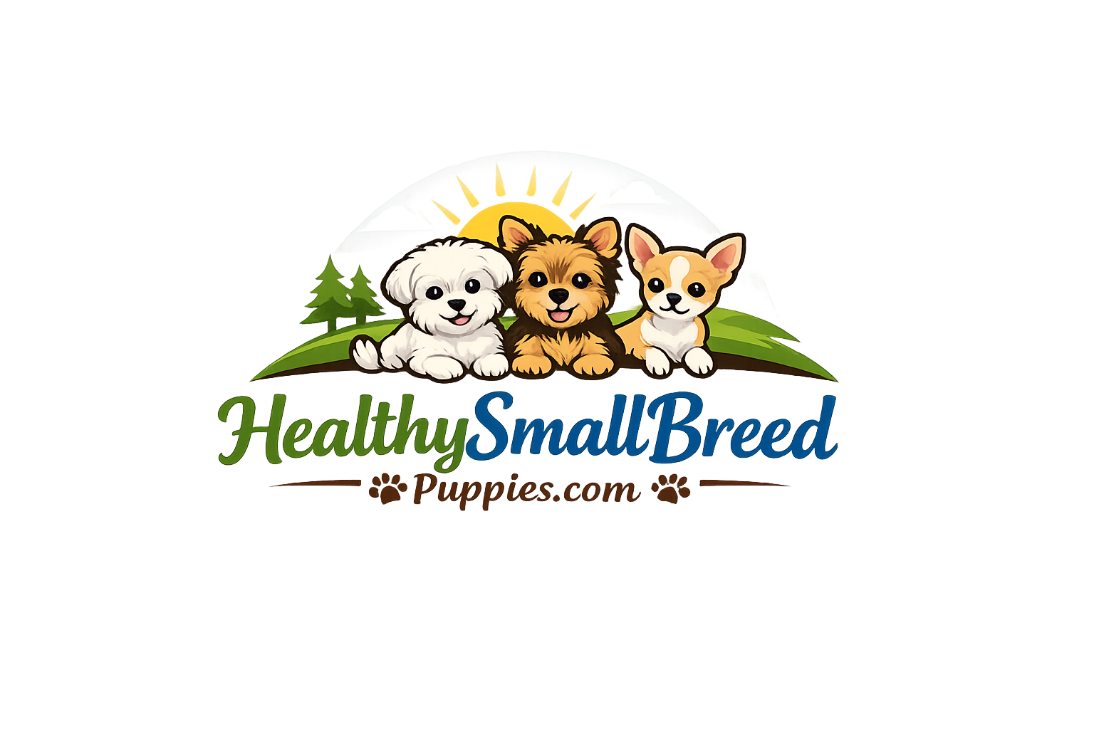 Small Breed Puppies for Sale | Healthy & Vet Checked Dogs