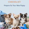 Puppy Essentials Checklist: What Every New Puppy Owner Should Prepare Before Bringing a Puppy Home